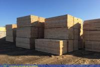 В Житомирской области блокировали незаконный экспорт древесины в Азию