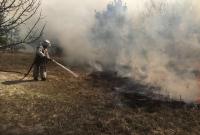 На Житомирщине задержали поджигателей травы, которые устроили масштабный пожар
