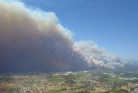 В Анталії через лісові пожежі постраждали понад 50 осіб