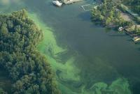 Эколог назвал основные причины загрязнения реки Днепр
