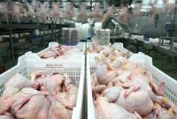 Украина рекордно нарастила производство курятины