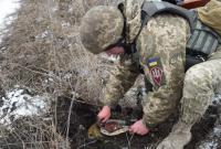 В районе разведения сил в Золотом начался процесс разминирования