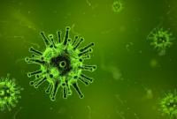 Ученые помогли иммунной системе обнаружить скрытые раковые клетки