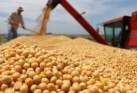 В Україні оприлюднено обсяги тіньового ринку сої В Україні оприлюднено обсяги тіньового ринку сої
