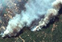 В Турции начался новый сильный лесной пожар