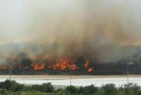 В Израиле из-за сильной жары вспыхнули пожары